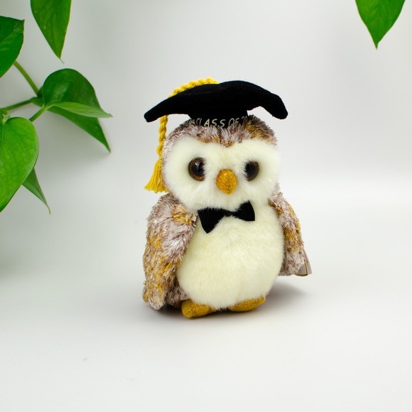 Ty Beanie Baby Smarter the Owl - Picture 1 of 3